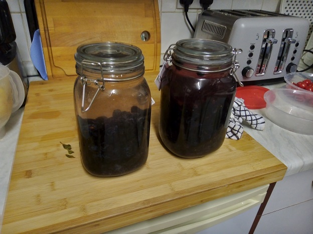 sloe gin vodka